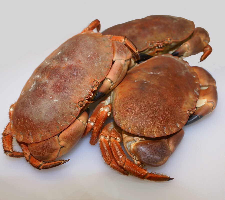 Freshly cooked Cromer Crabs from Cley Smokehouse
